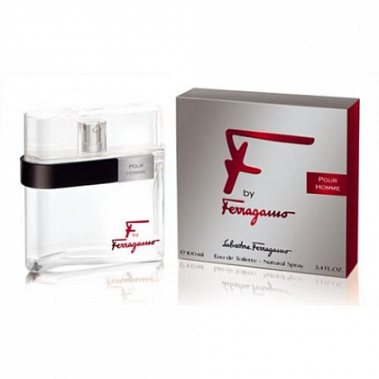 Salvatore Ferragamo F by Ferragamo Pour Homme 