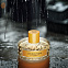 Vilhelm Parfumerie London Funk фото 7