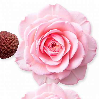 Parfums de Marly Delina Масло для тела, 100 мл фото 3