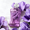 Parfums de Marly Palatine фото 4
