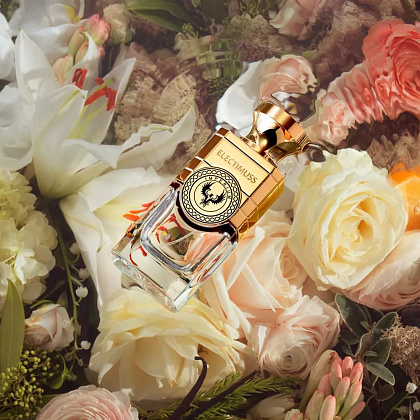 Electimuss Imperium фото 3