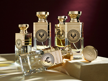 Electimuss Aurora фото 8