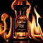 Tom Ford Ebene Fume фото 6