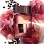 Tom Ford Cafe Rose фото 5