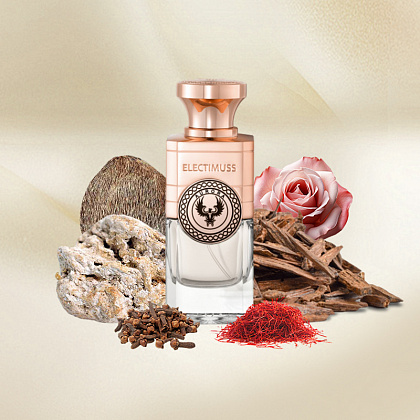 Electimuss Aurora фото 4