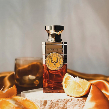 Electimuss Spice D'Arno фото 5