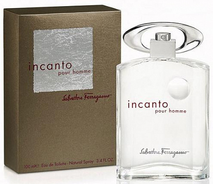 Salvatore Ferragamo Incanto Pour Homme 