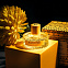 Vilhelm Parfumerie Black Citrus фото 6