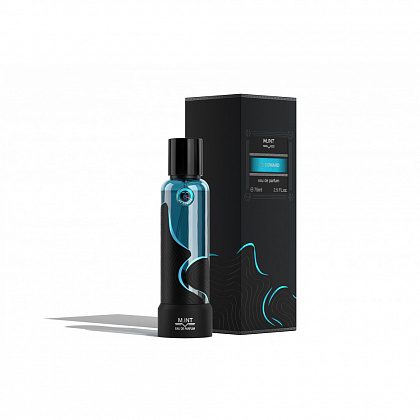 M.INT No Coward фото 3