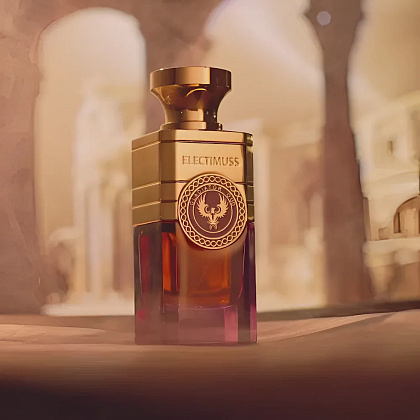 Electimuss Gladiator Oud фото 8