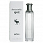 Abercrombie & Fitch Spirit Perfume 