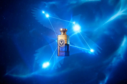 Electimuss Aquila Absolute фото 7