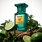 Tom Ford Azure Lime фото 4