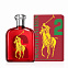 Ralph Lauren The Big Pony Collection 2 