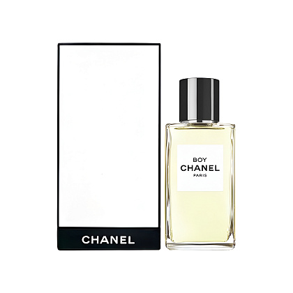 Chanel Boy 