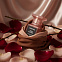 Tom Ford Rose Exposed фото 6