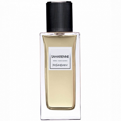 Yves Saint Laurent Saharienne 2015 