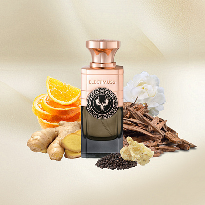 Electimuss Summanus фото 3