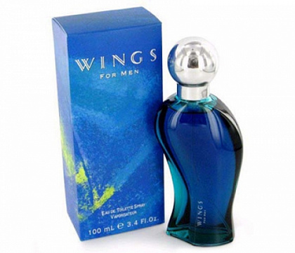 Giorgio Beverly Hills Wings For Men 