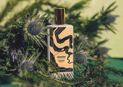 Memo Sherwood фото 6