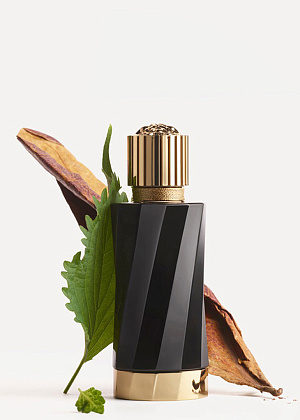 Versace Tabac Imperial фото 4