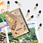 Memo Discovery Set фото 4