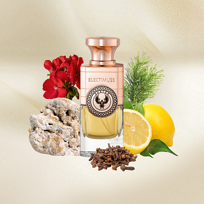 Electimuss Auster фото 5