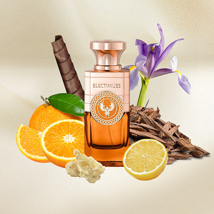 Electimuss Spice D'Arno фото 4