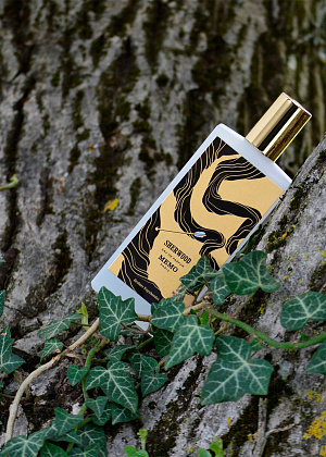 Memo Sherwood фото 7