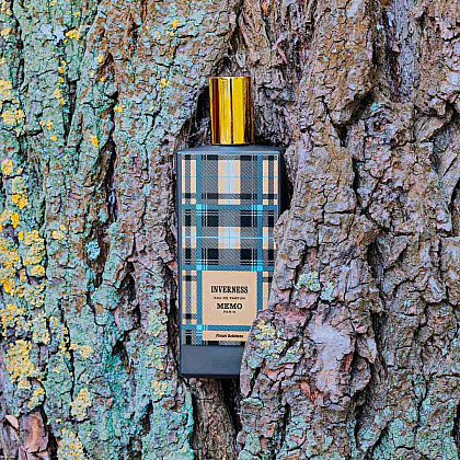 Memo Inverness фото 5