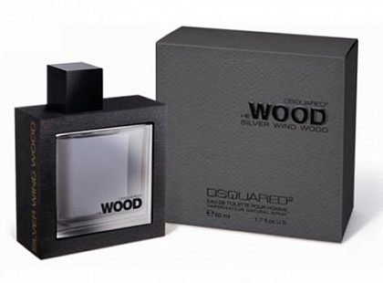 Dsquared2 he Wood Silver Wind 