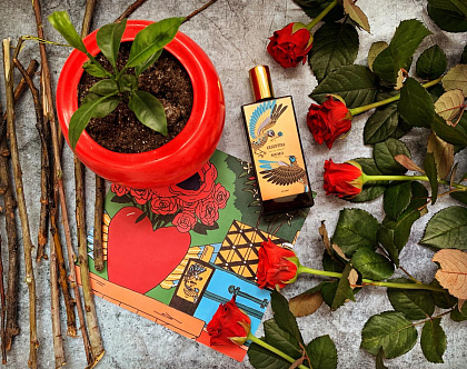 Memo Argentina фото 4