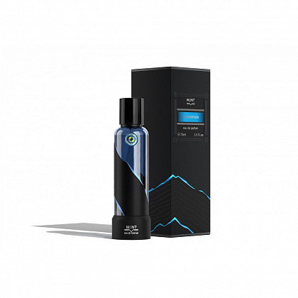 M.INT Gravitation фото 3